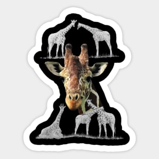 Giraffe in Kenya / Africa Sticker